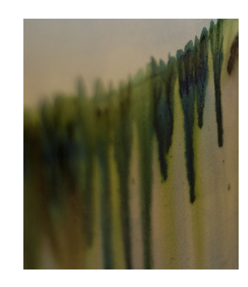 hand-water-nature-grass-creative-photography-874314-pxhere.com_.jpg.